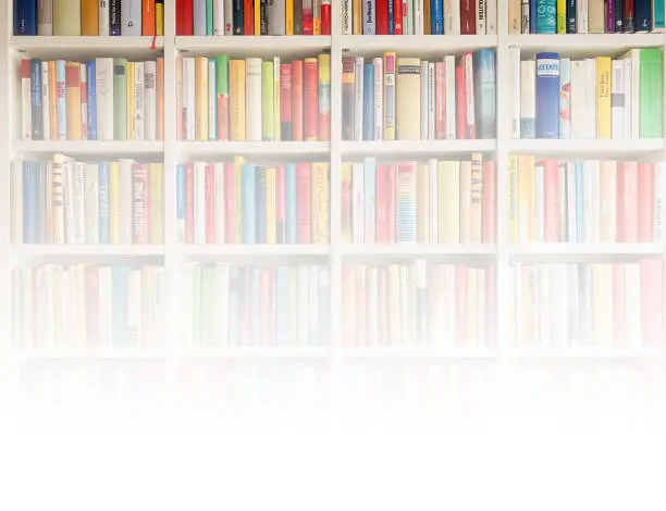 Flow Bookshelf